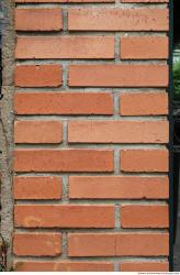 Photo Textures of Wall Bricks